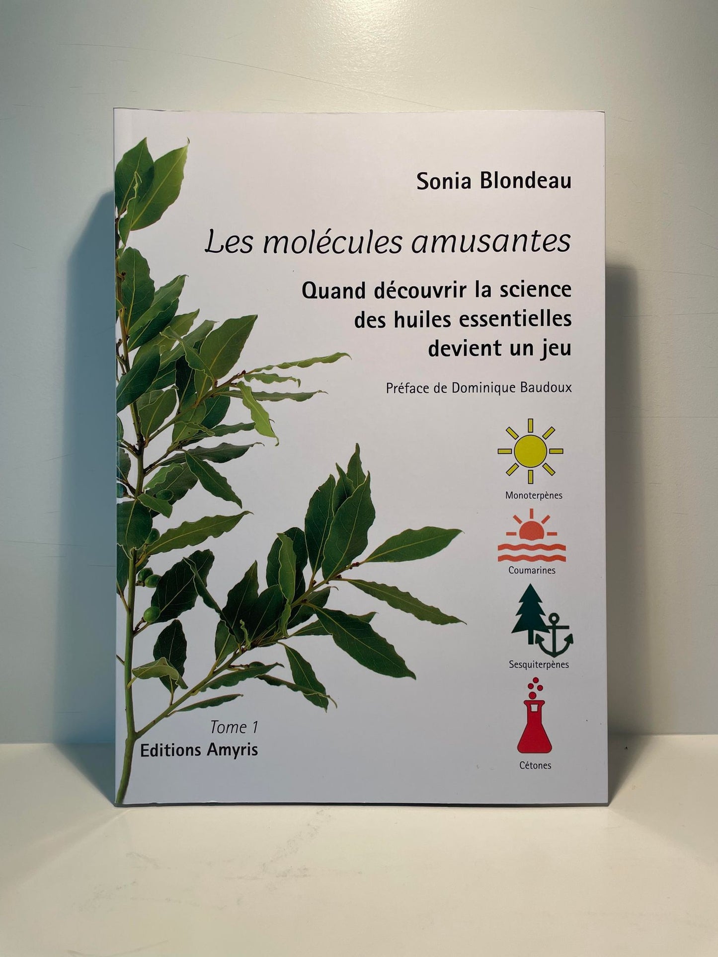 Les molécules amusantes - Sonia Blondeau